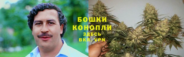 эйфоретик Богородск