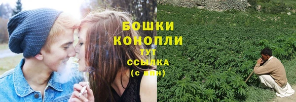эйфоретик Богородск