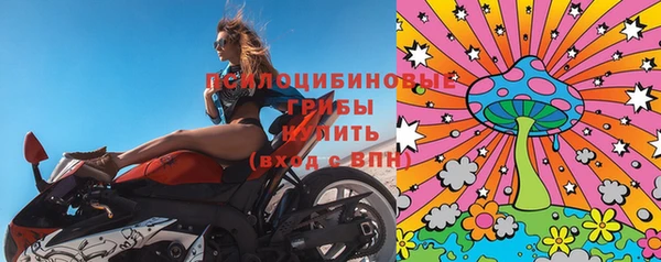 эйфоретик Богородск