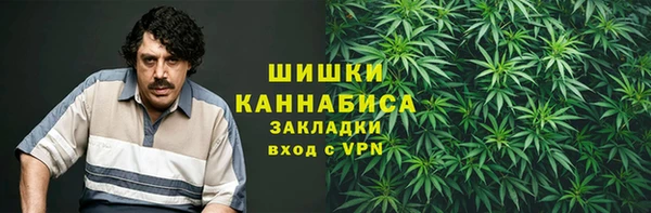 прущая мука Богданович