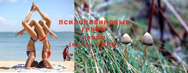 марихуана Богородицк